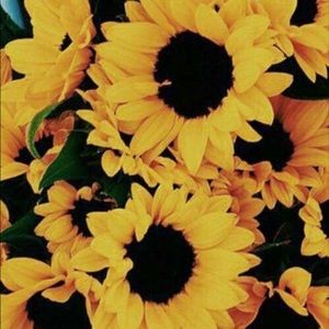 Meet your Posher, Gabriella